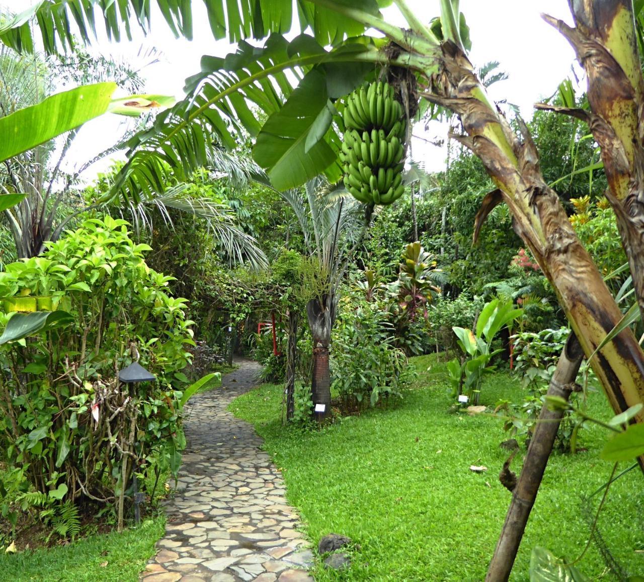 Pura Vida Hotel Alajuela Exterior photo