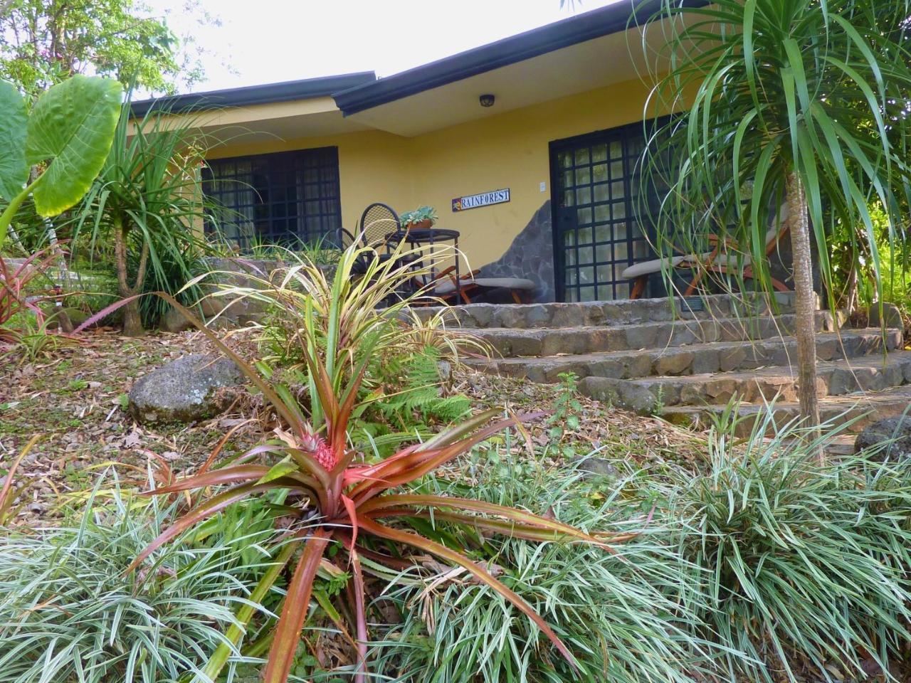 Pura Vida Hotel Alajuela Exterior photo